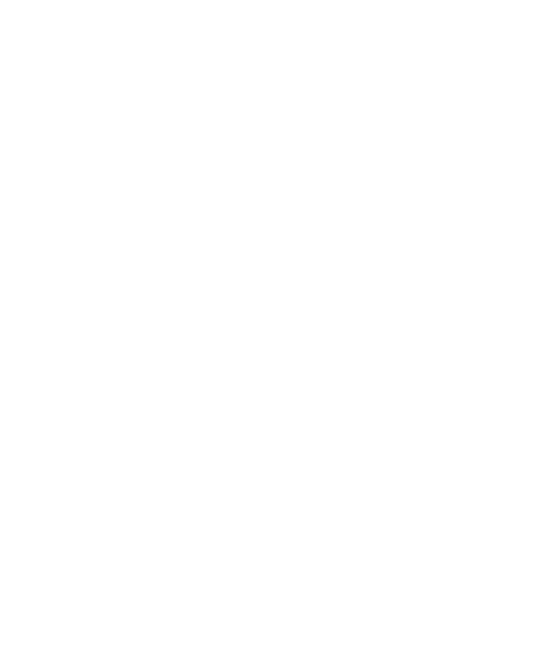 Au Fil des Études